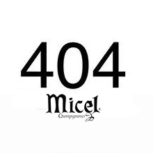 Error 404: Pagina no encontrada
